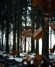 hunting structure in winter forest