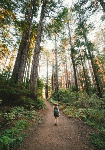 person watching on trail