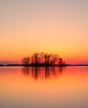 trees in the distance on a lake