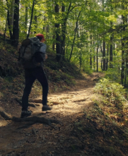 person hiking on shady trail