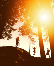 people jumping in sunny forest